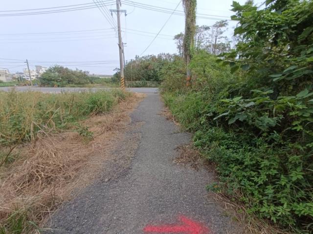 台南學甲農地-9