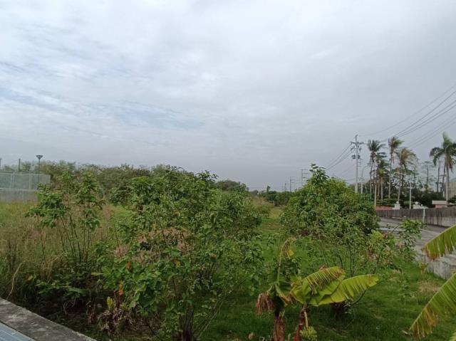 台南學甲農地-10