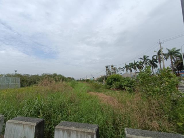台南學甲農地-2