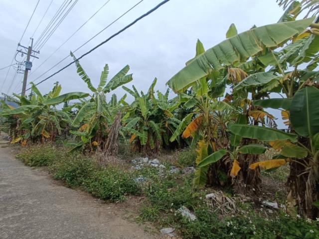 台南農地-6