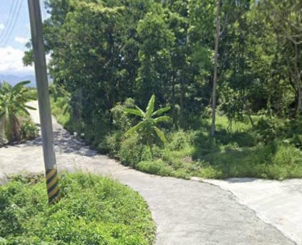台南南化農地-4