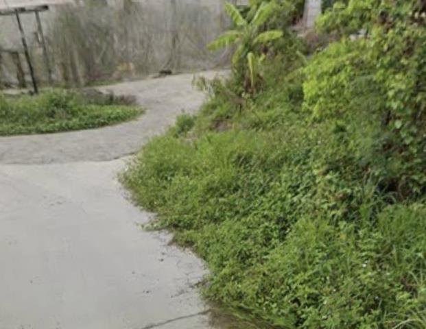 台南南化農地-6