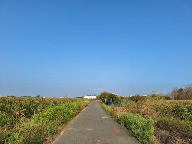 台南學甲農地-1