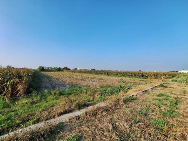 台南學甲農地-2