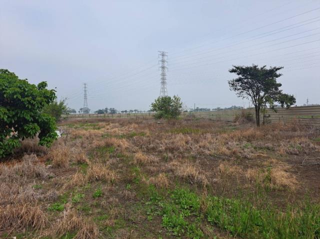 台南六甲農地-9
