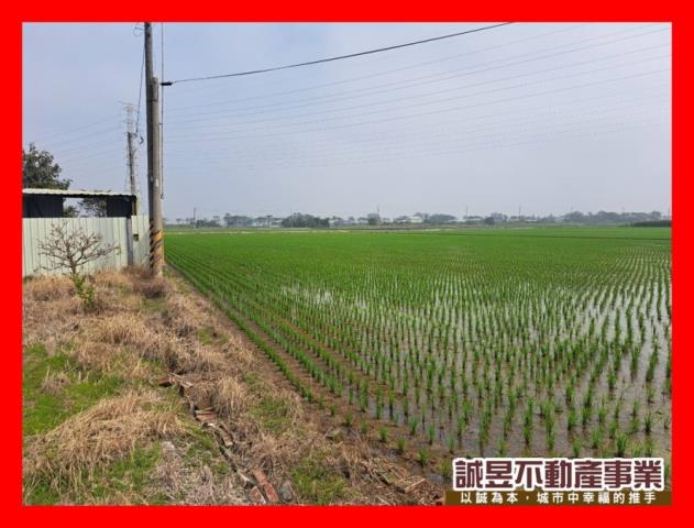 台南六甲農地-0
