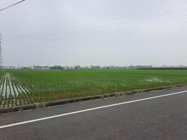 台南六甲農地-3