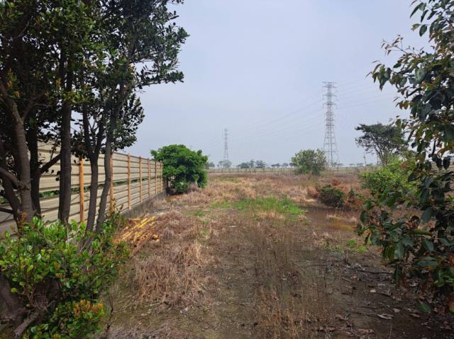 台南六甲農地-5