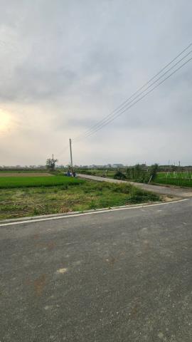 善化農地-9