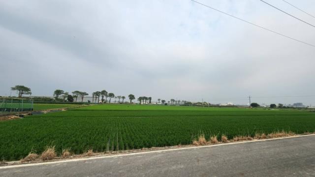 善化農地-1