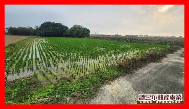 善化農地-3