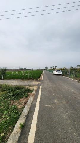 善化農地-5