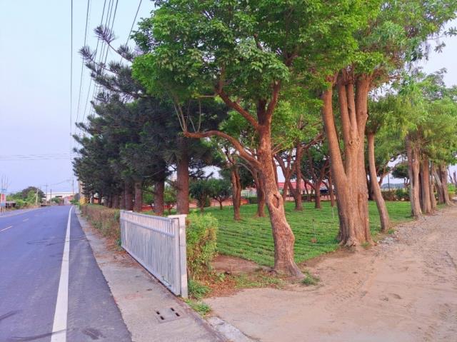 七股農地-7