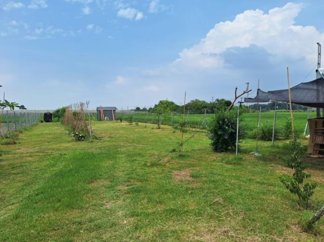官田農地-7