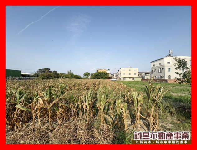 台南農地-1