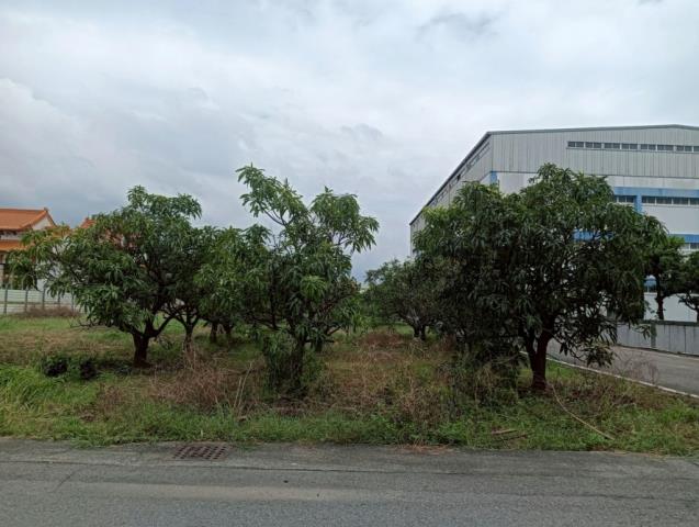 高雄農地-9