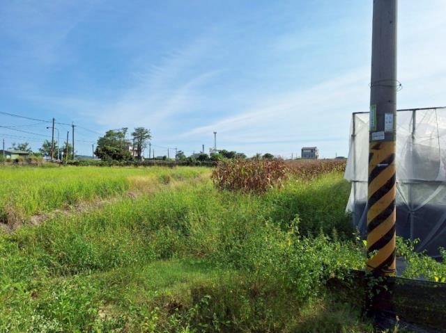 台南柳營農地-4