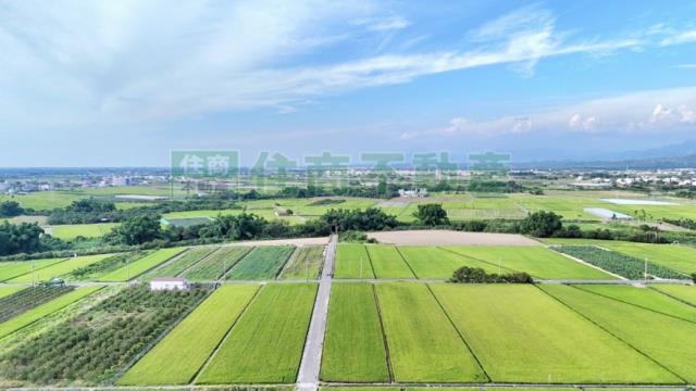 台南東山農地-3