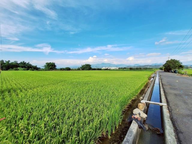 台南東山農地-4