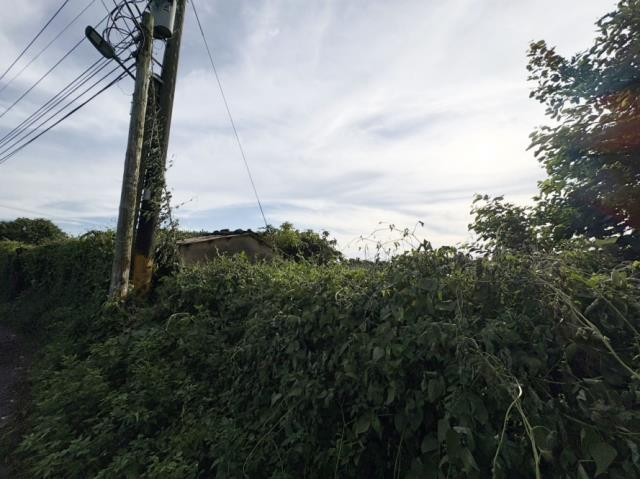 歸仁農地-6