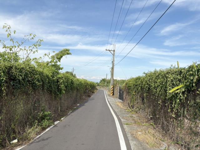 歸仁農地-10