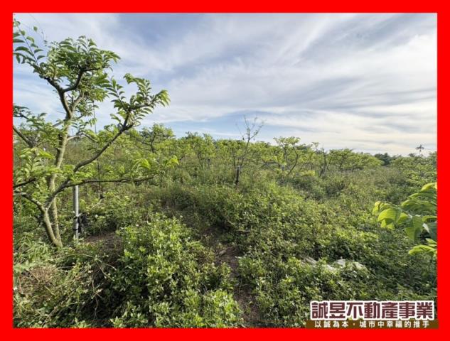 歸仁農地-1