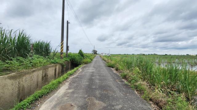 善化農地-9