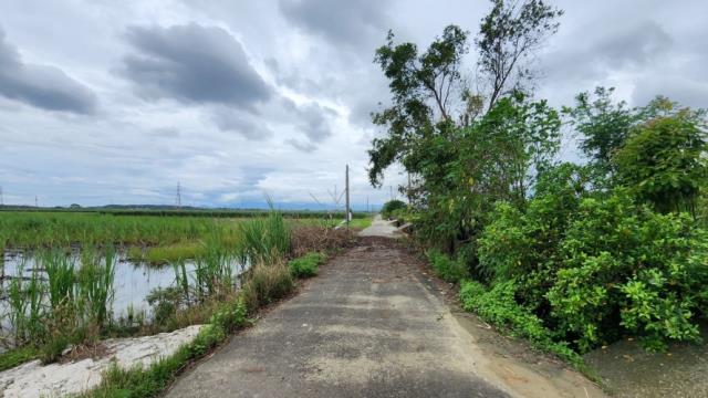 善化農地-6
