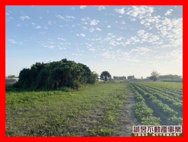 安南農地-1