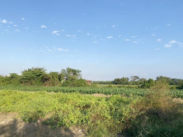 安南農地-2