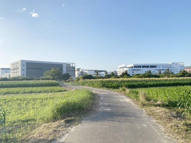 安南農地-4