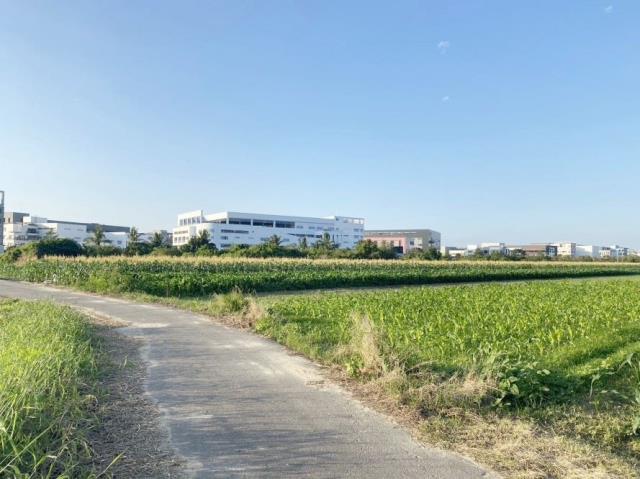 安南農地-5