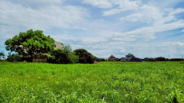 台南農地-0